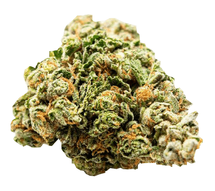 Biscotti Bigs Ounce/28 grams (20% THC, Indica)