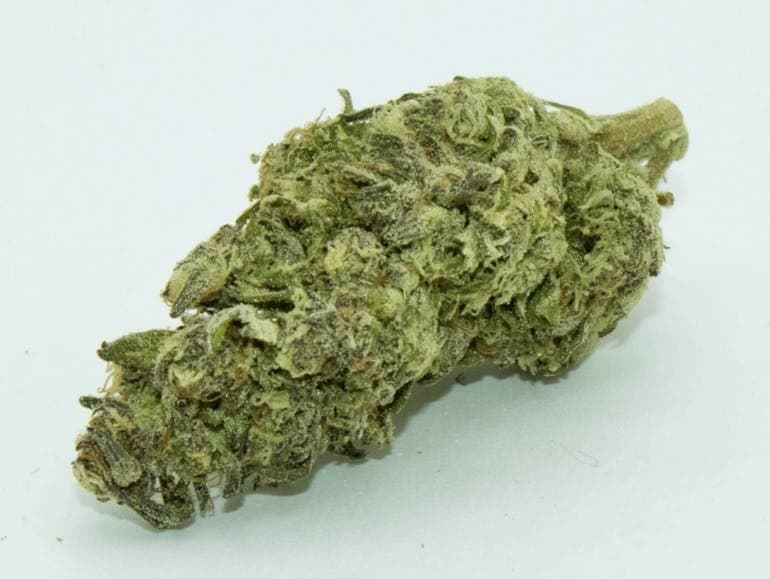 Gushmintz Ounce/28 Grams (24% THC, Hybrid)