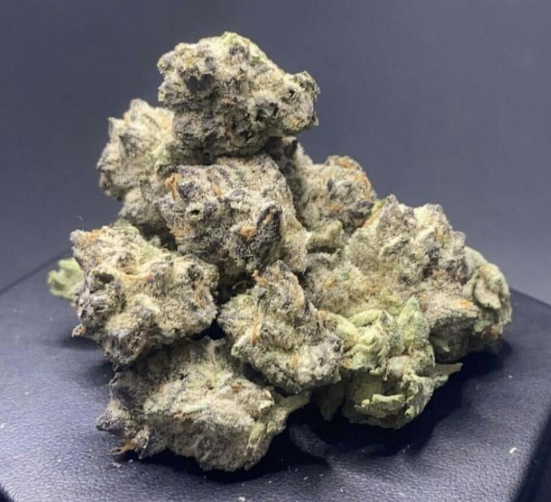GELATO 25 - GEL ONE