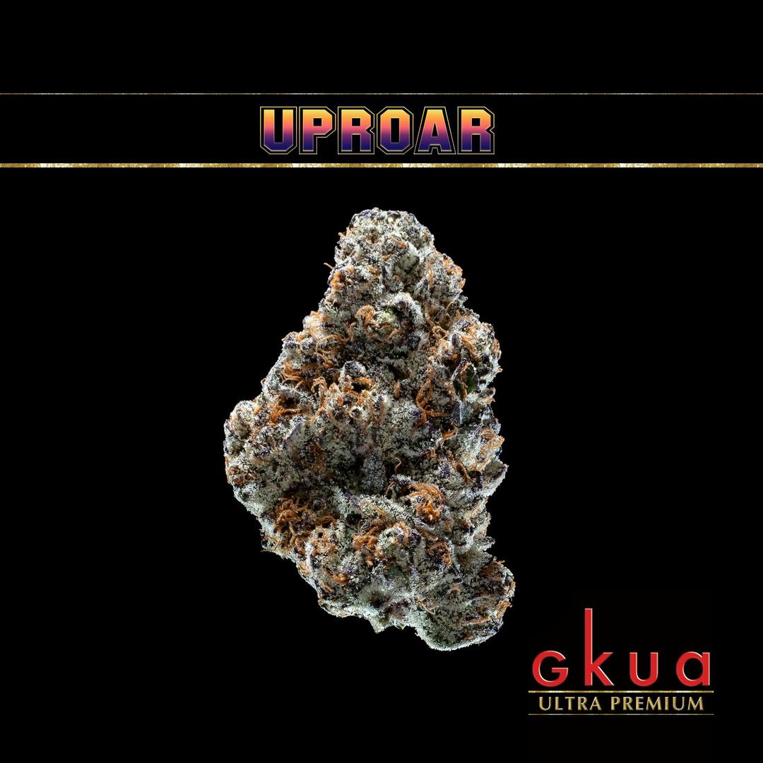 UPROAR