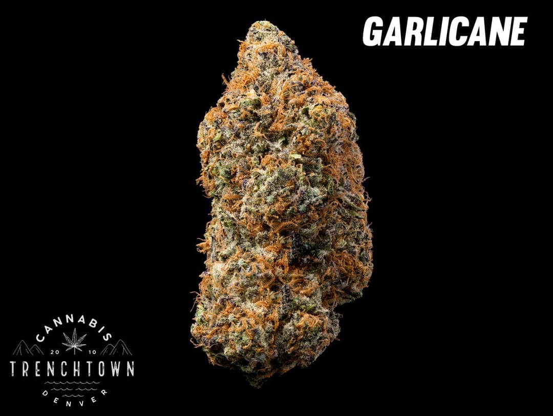 Garlicane