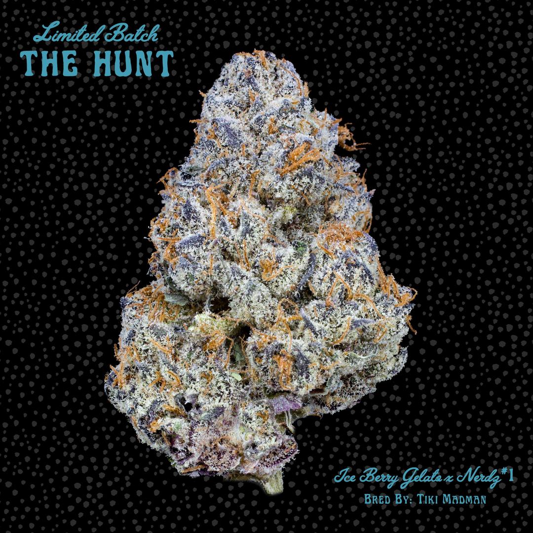 Nerdz x Ice Berry Gelato #1 - The Hunt