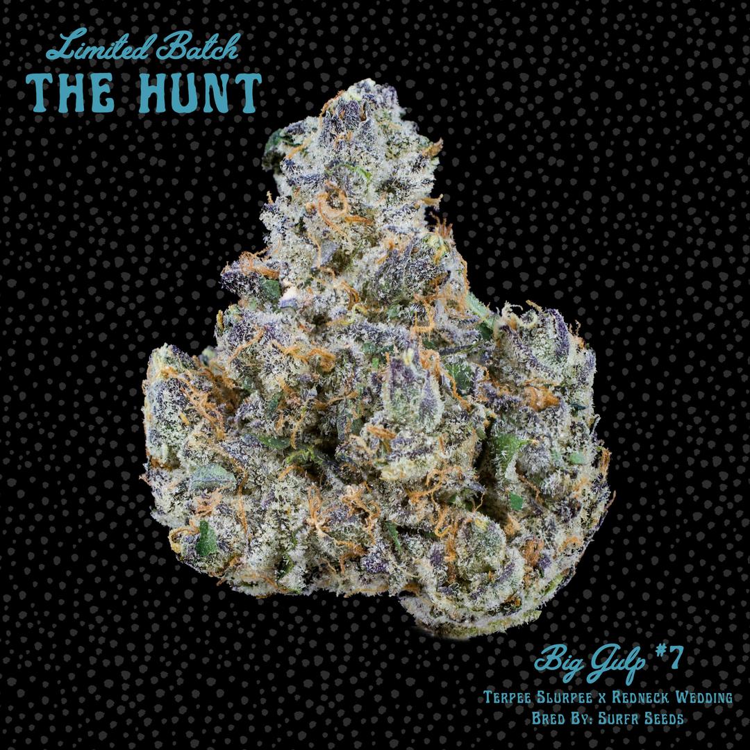 Big Gulp #7 - The Hunt