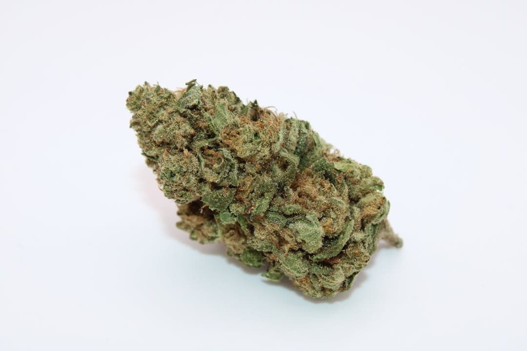 Pancakes 1 Gram (33% THC, Hybrid)