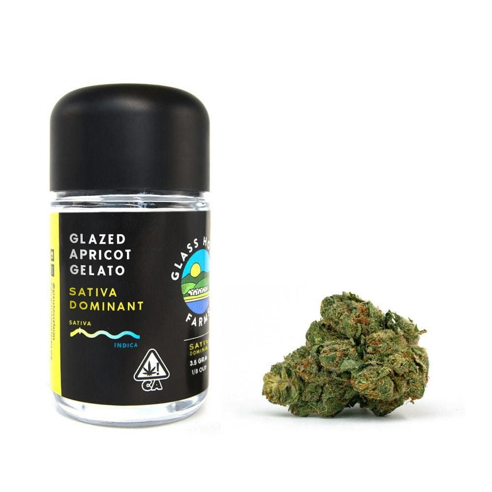 Glazed Apricot Gelato [3.5g Jar]