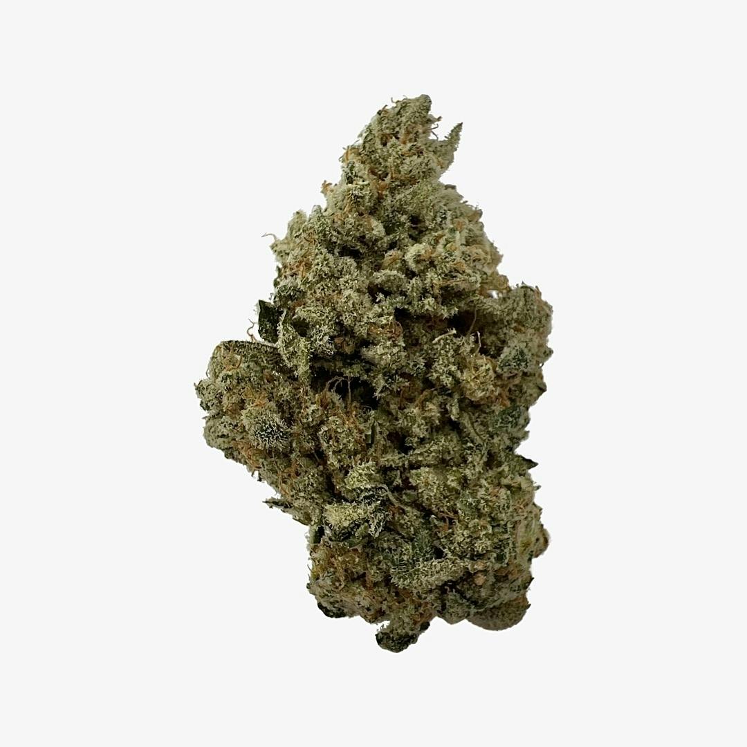 Biscotti Kush