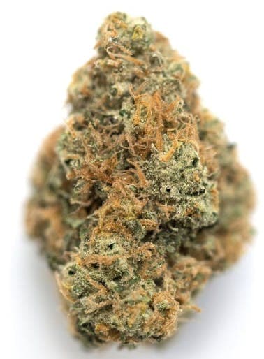 Orange Pie - INDICA - 26% THC