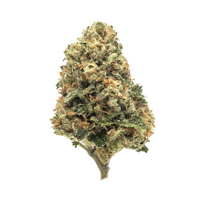 Rose-Hybrid-25%THC