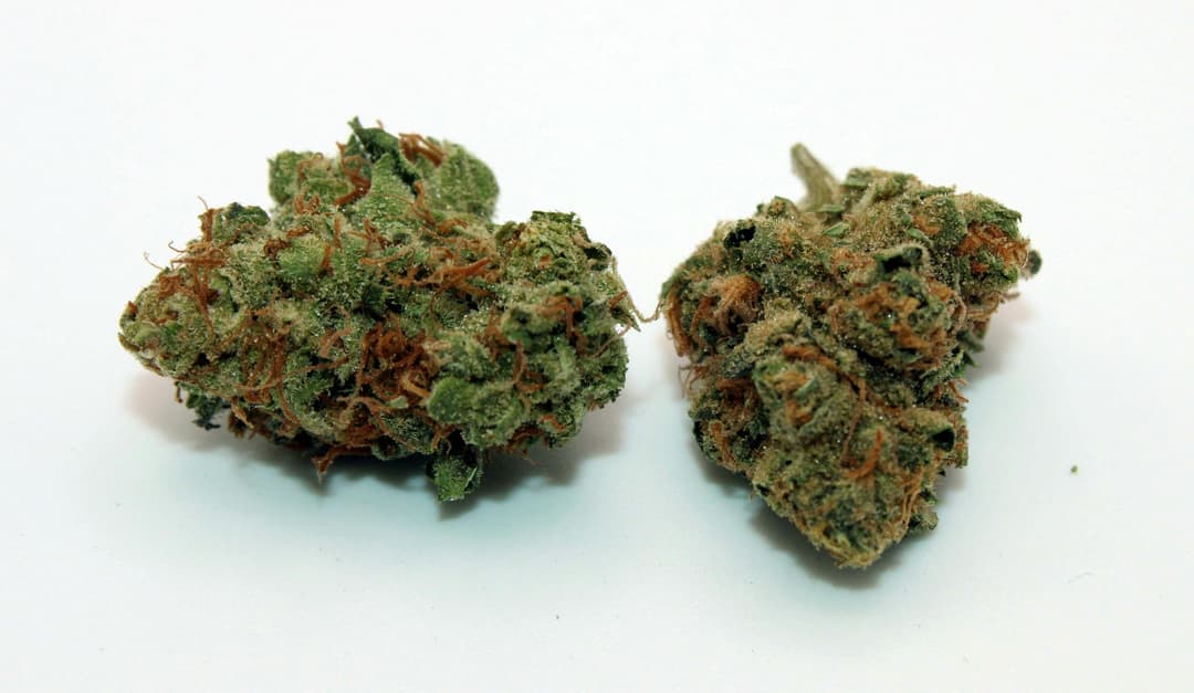 Mochi 8th/3.5 Grams (20% THC, Sativa)