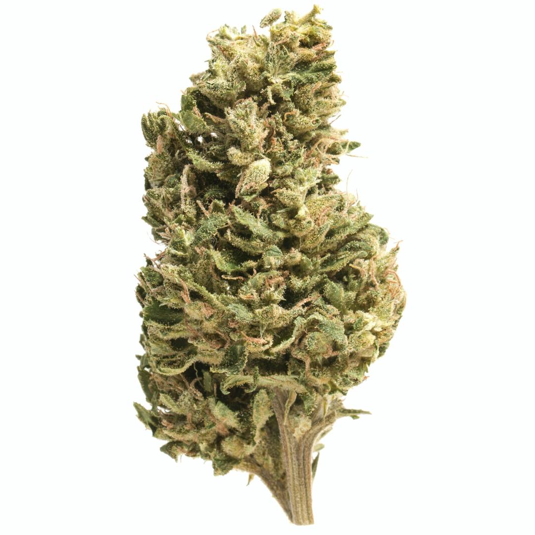 Afghan Skunk - Indica - 28.98% THC