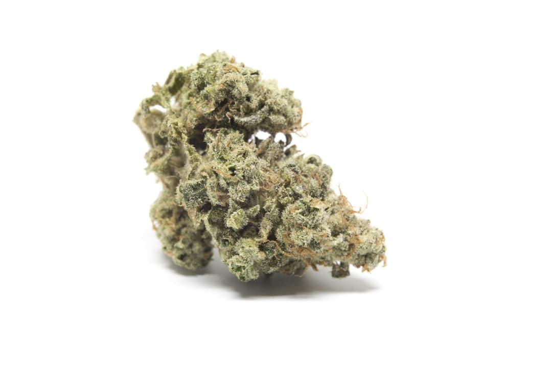 Passion Fruit - Sativa - 28.91% THC