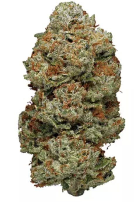 White Walker Og - Indica - 35.98% THC