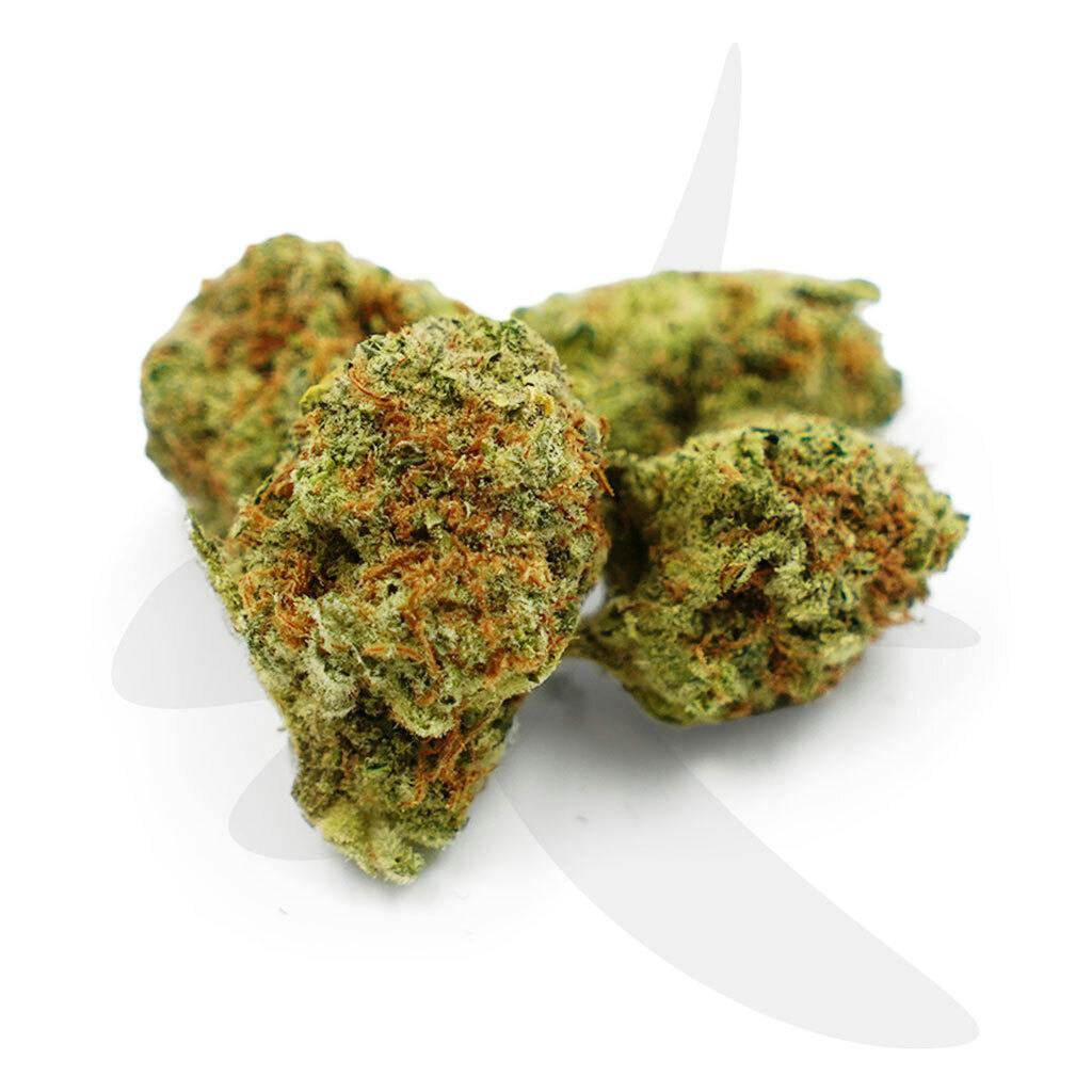 Papaya