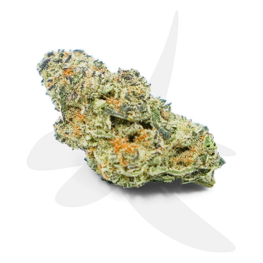 Frozen Gelato