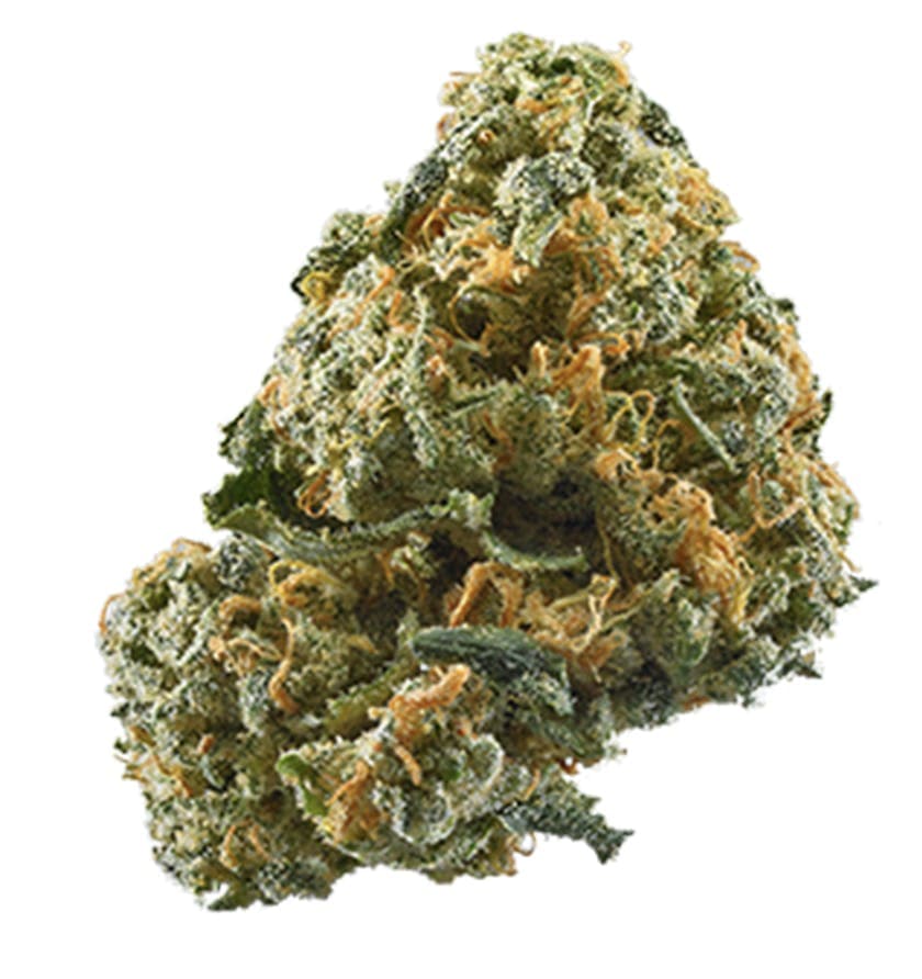 Gary Payton - Hybrid - 35.93% THC