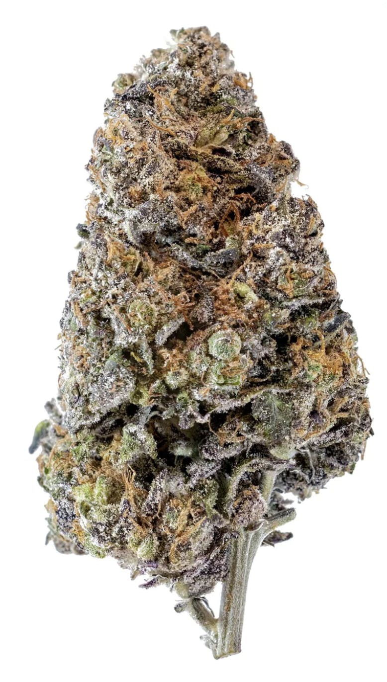 Purple Power - Sativa - 35.95% THC