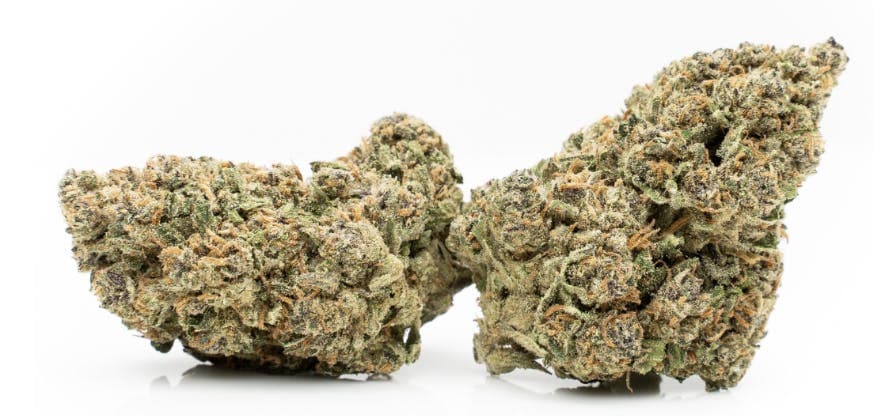 Grand Daddy Purple - Indica- 29% THC