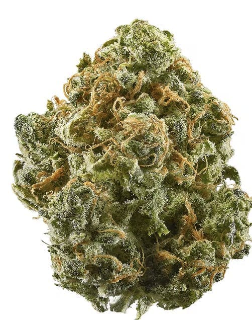 Blue Dream - Sativa- 29% THC
