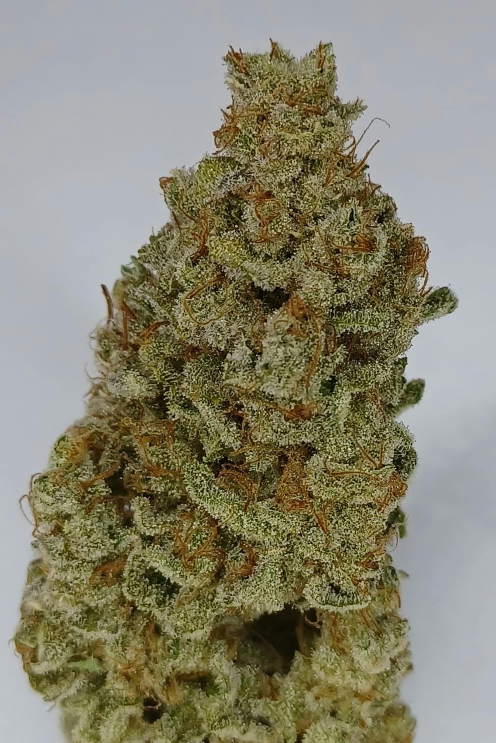 Strawberry Fields