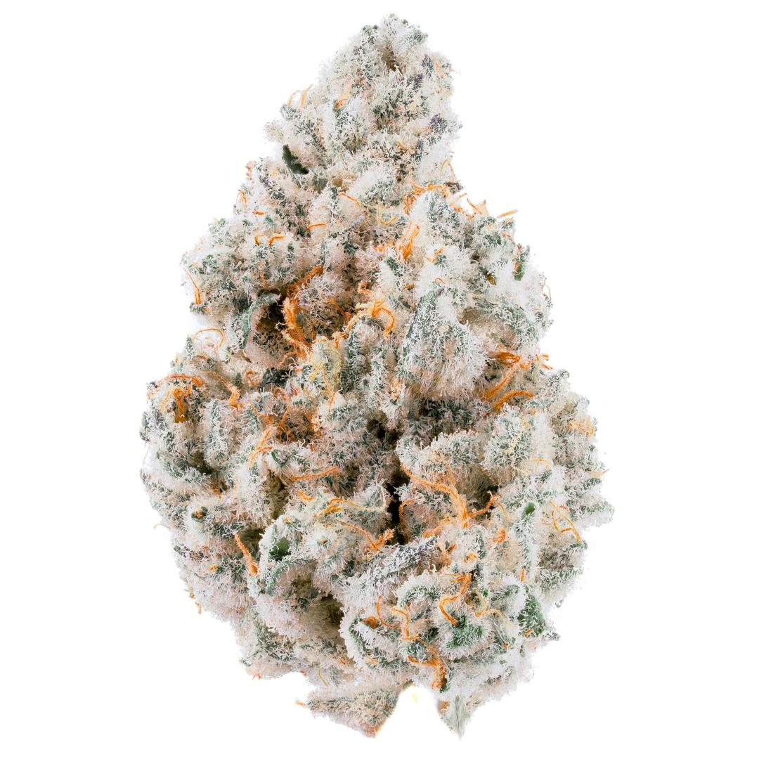 Apple Sherbert