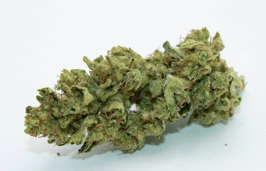 Fatso 1 Gram (27% THC, Indica)