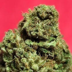 $100 Ounce of the Day - Helena