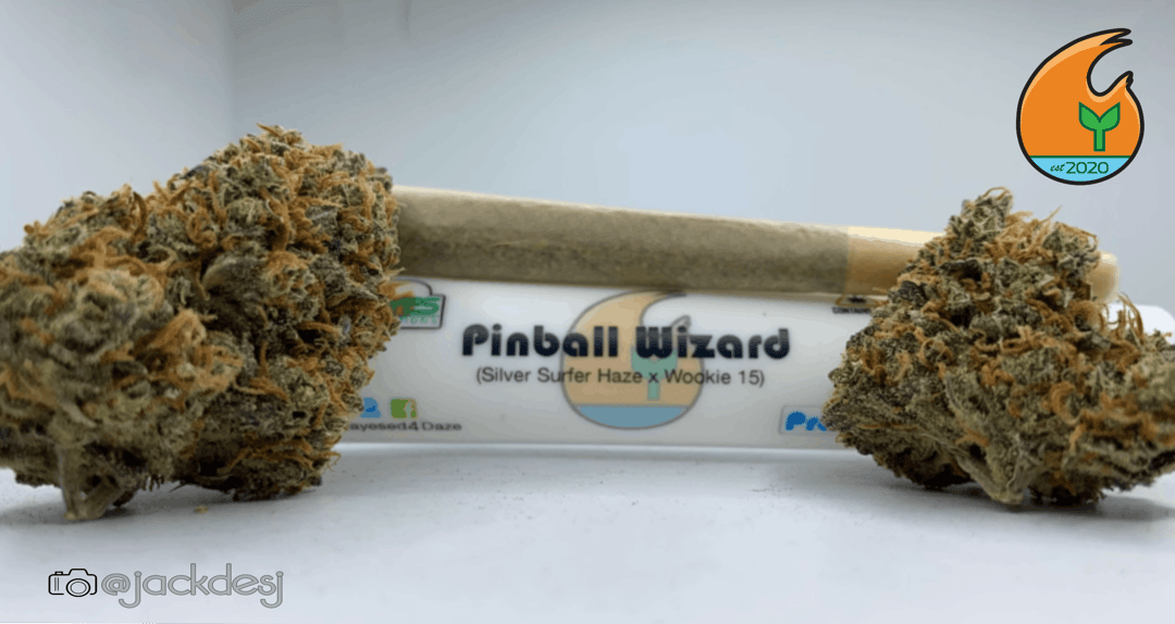 Pinball Wizard Preroll