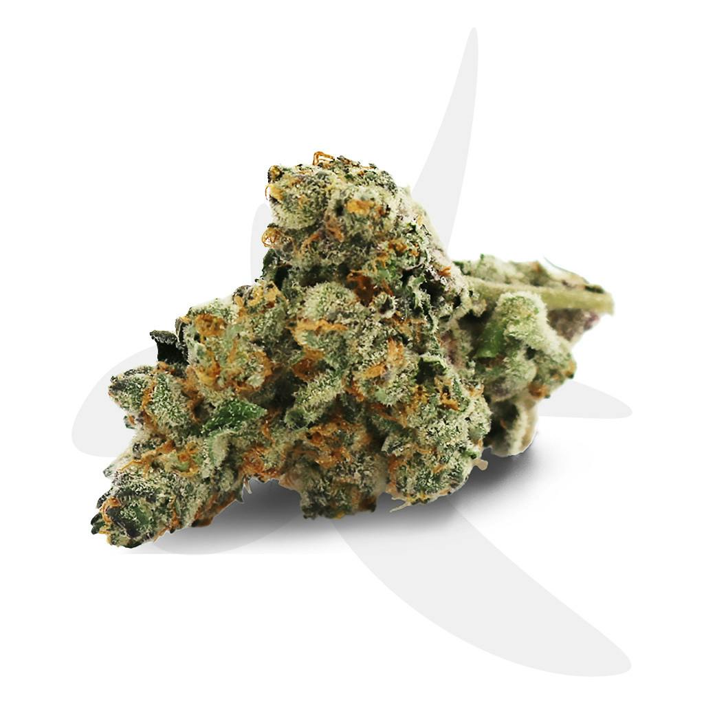 Apple Fritter
