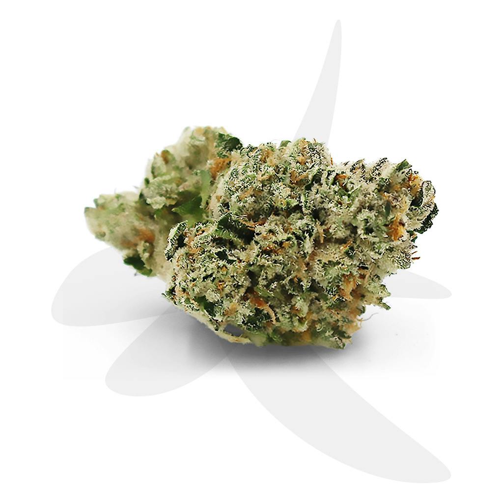 Guava