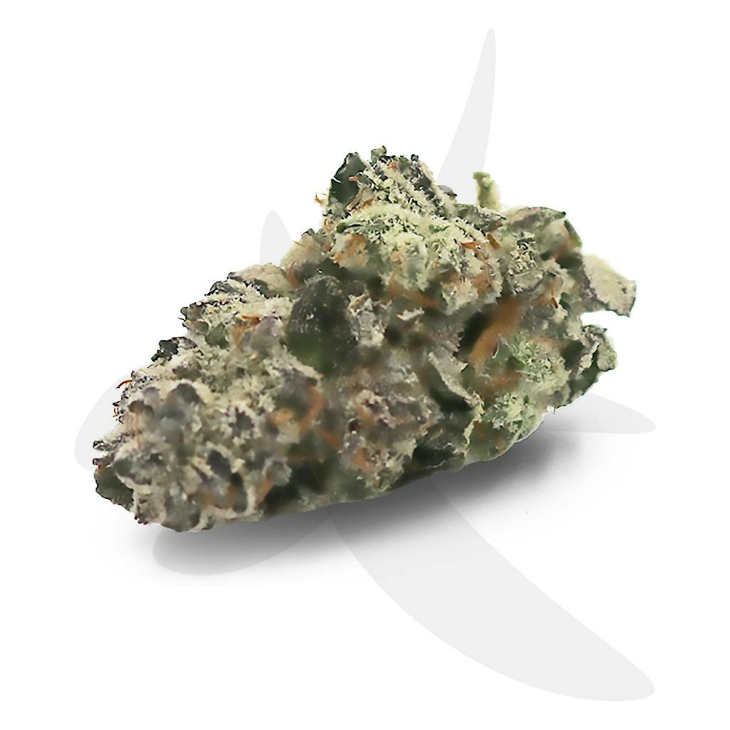 White Truffle