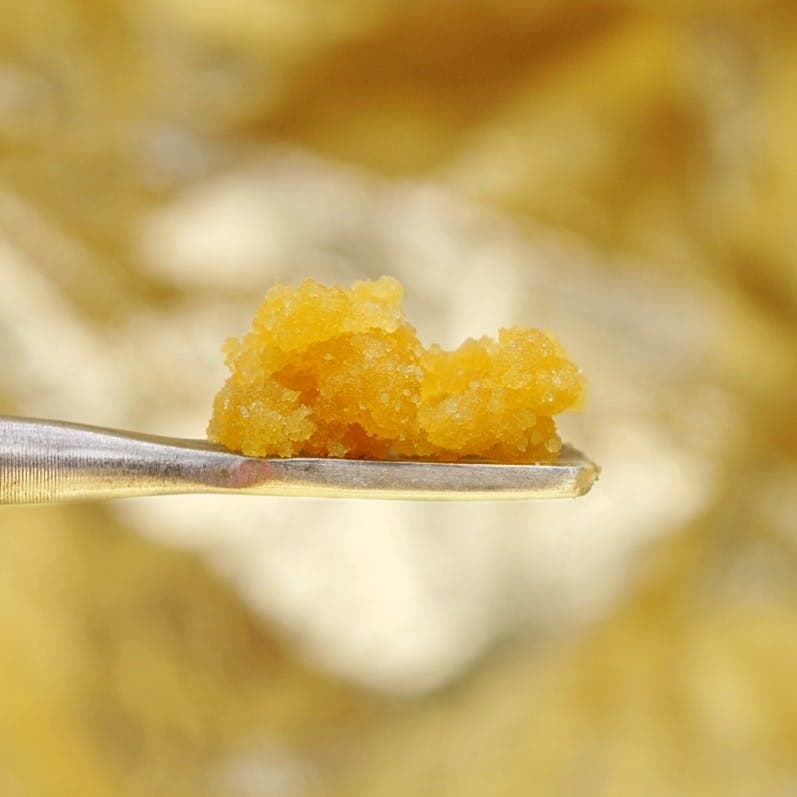 Peyote Gorilla - Sugar - 1g