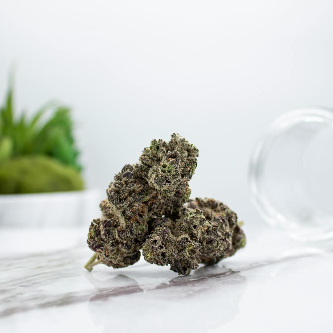 White Truffle
