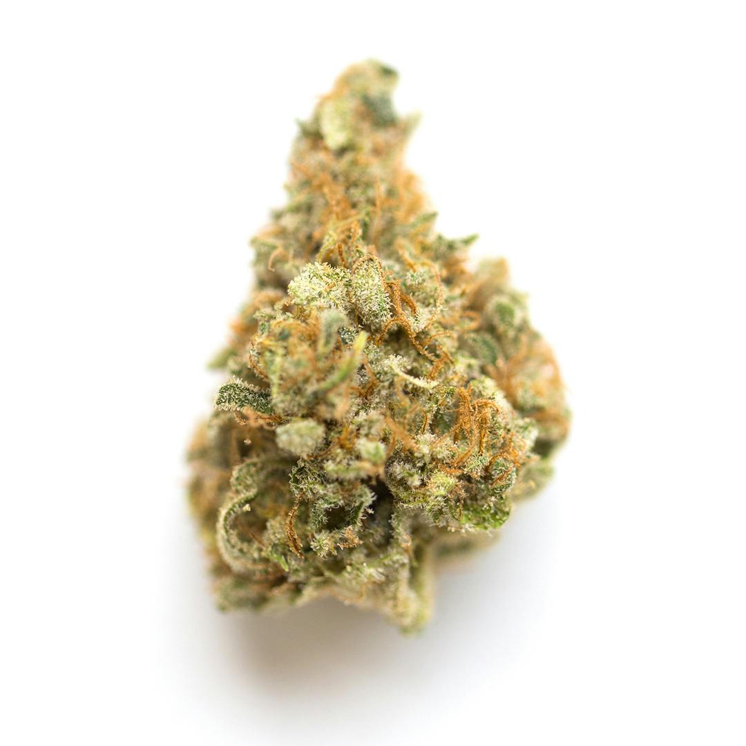 Mango Kush - Hybrid - 19.66% THC