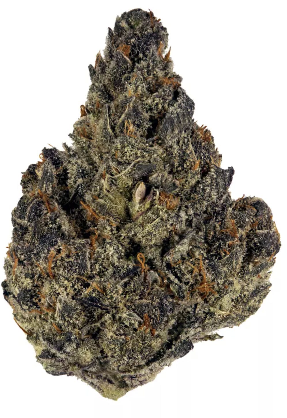 Blueberry Cookies - Hybrid - 26.81% THC