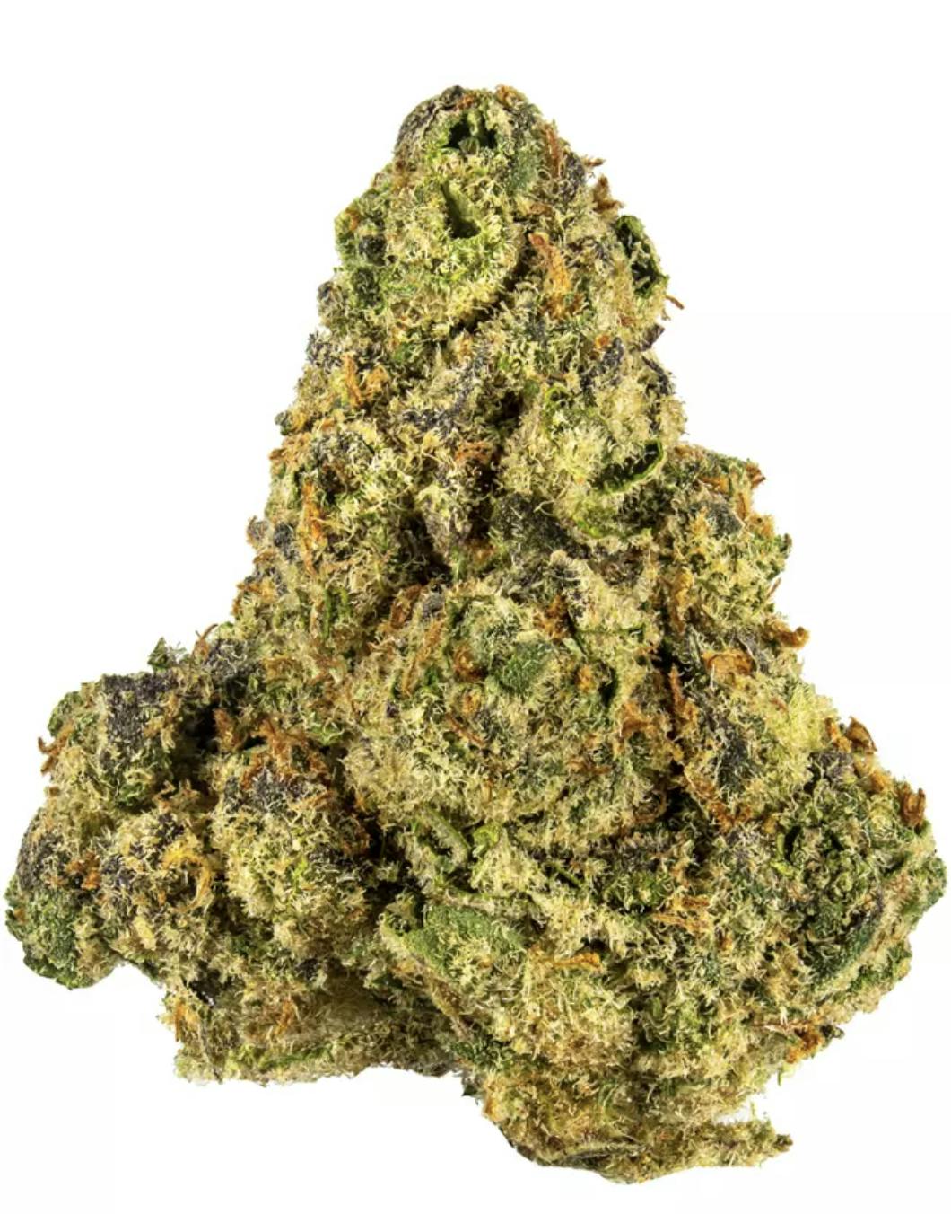Cheetah Piss - Hybrid - 28.95% THC