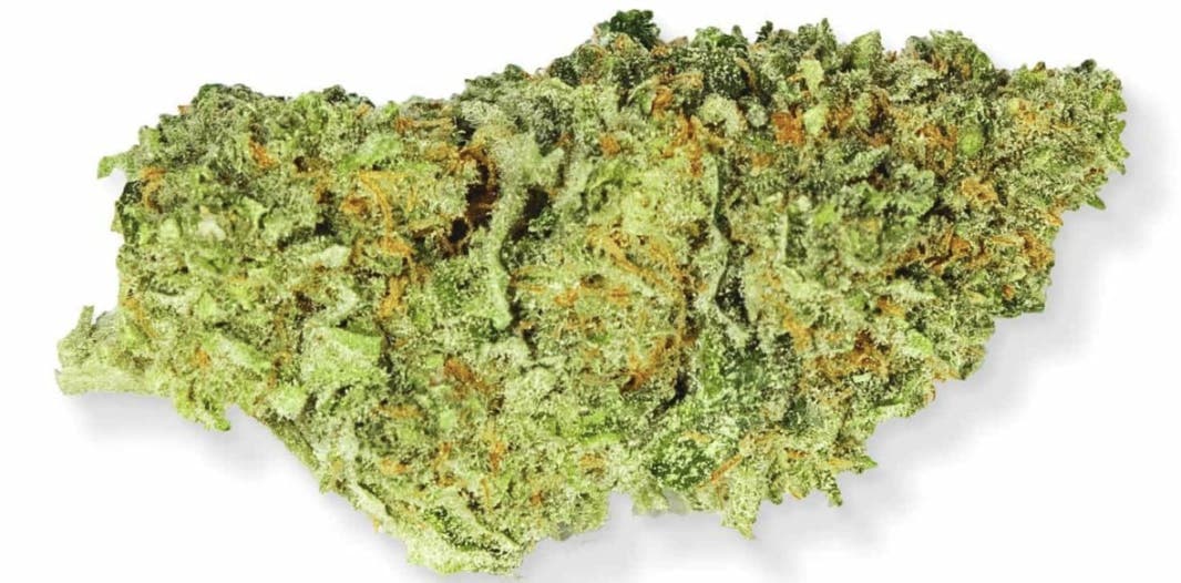 Banana Kush - Hybrid - 28.94% THC