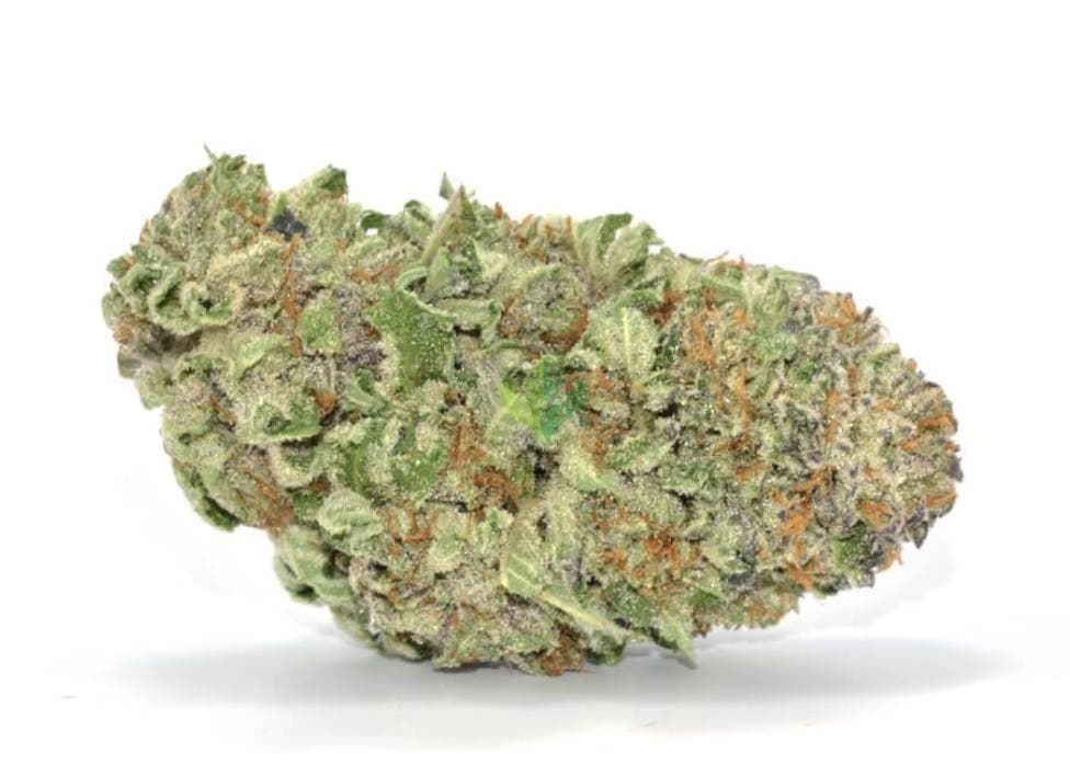 Headband - Hybrid - 30.97% THC