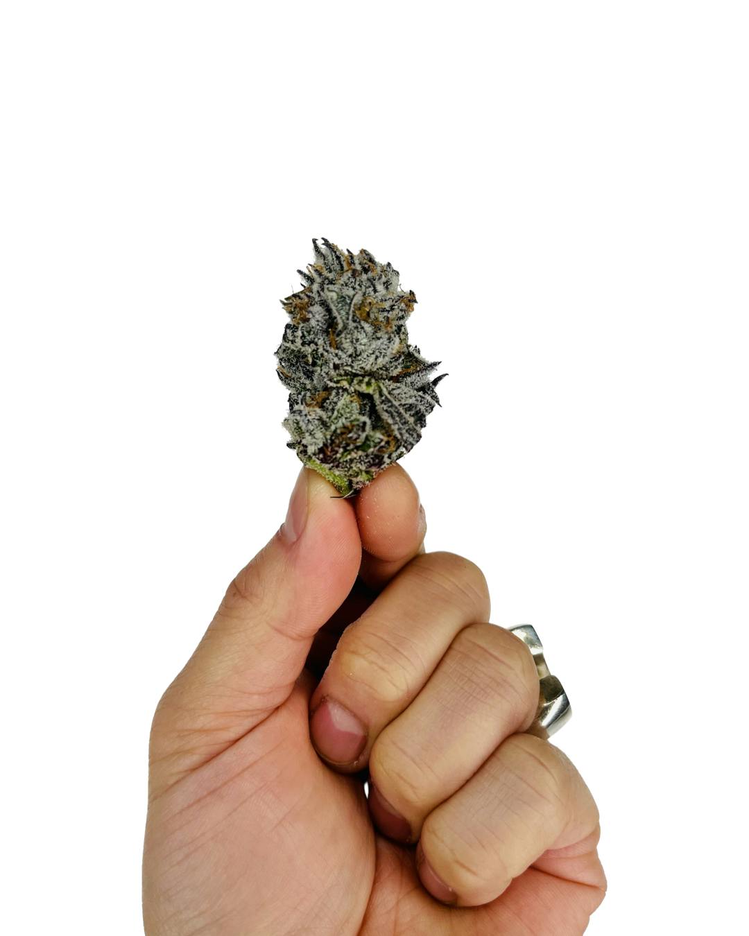 Tagalongz | 3.5g Flower