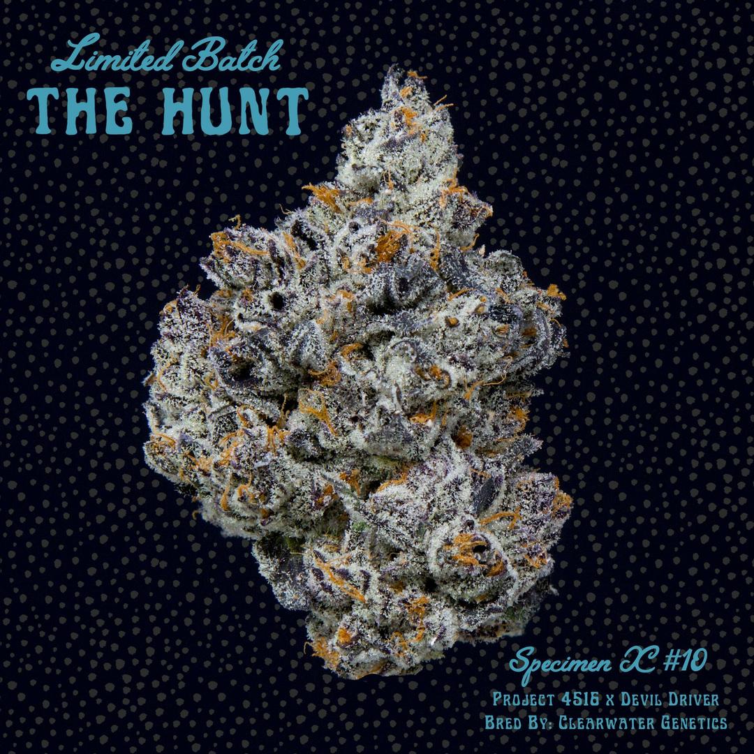 Specimen X #10 - The Hunt