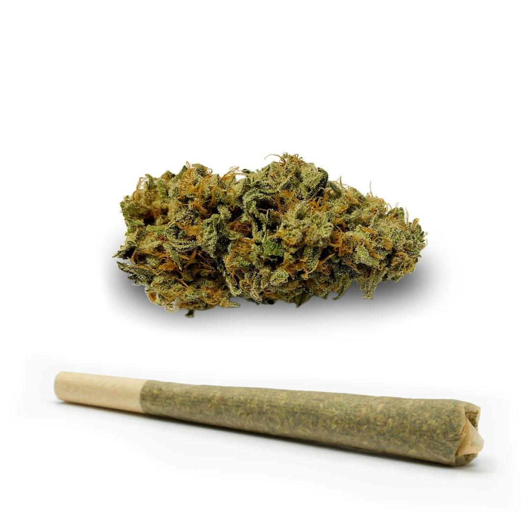 Mob Boss Pre-Roll