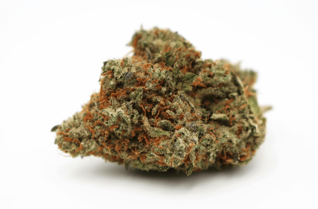 Cherry Punch Flower