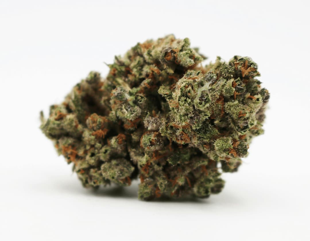 GMO x Grape OG Flower