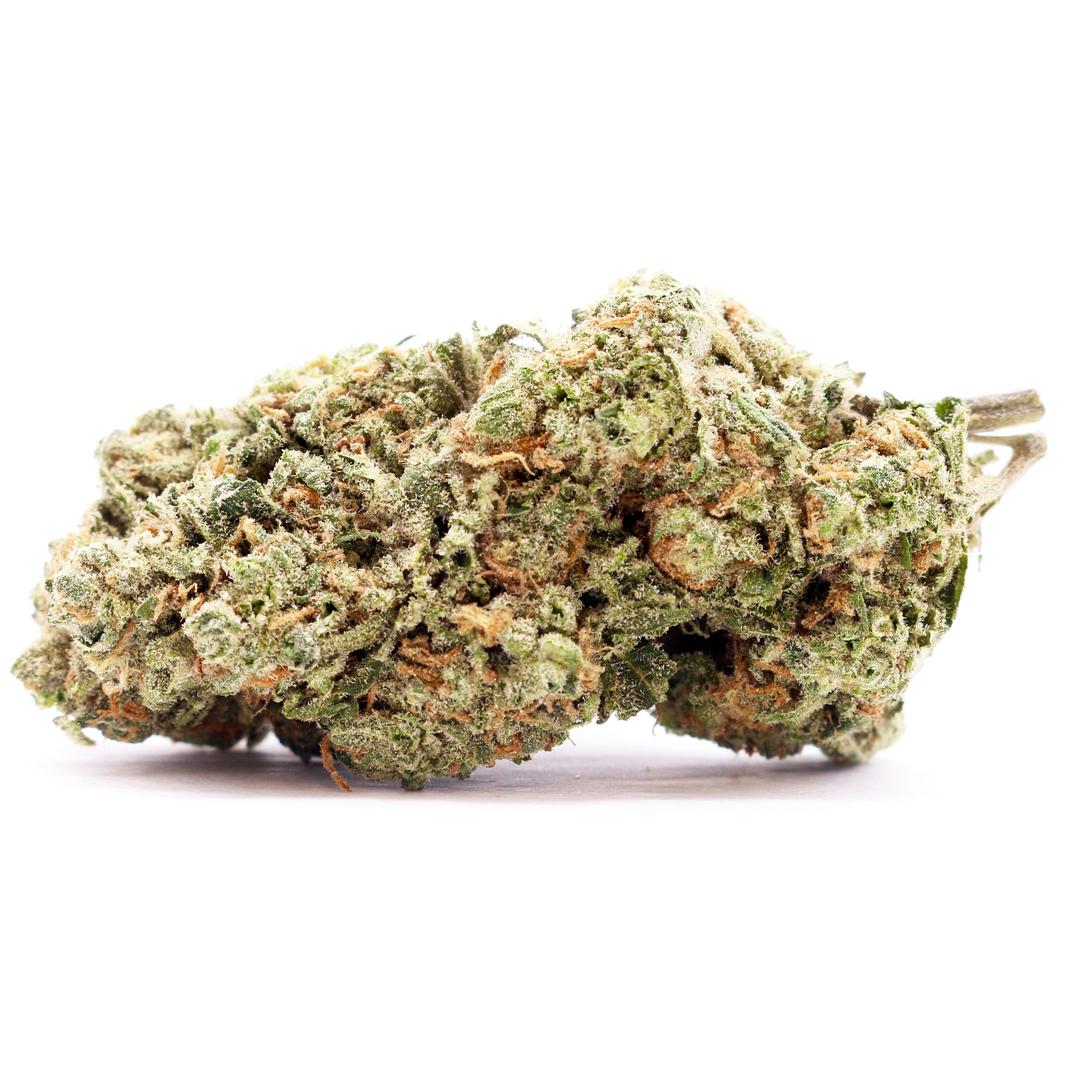 Chela - Light - Blue Dream