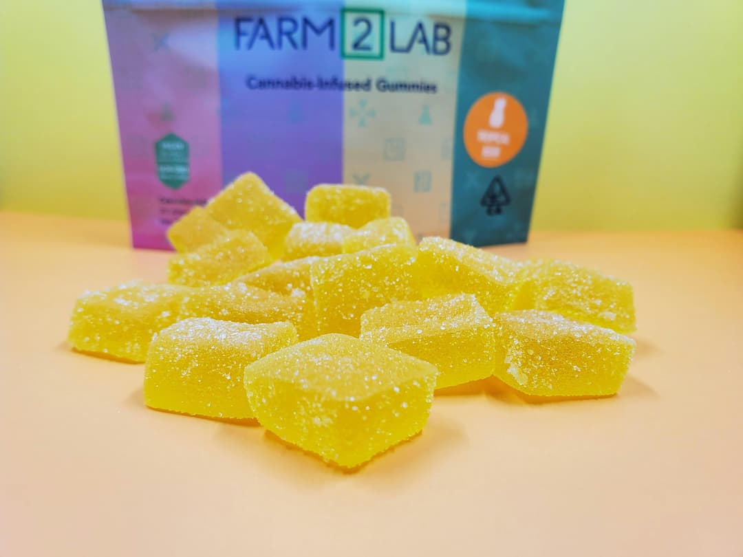 Tropical - 100mg Rosin Gummies