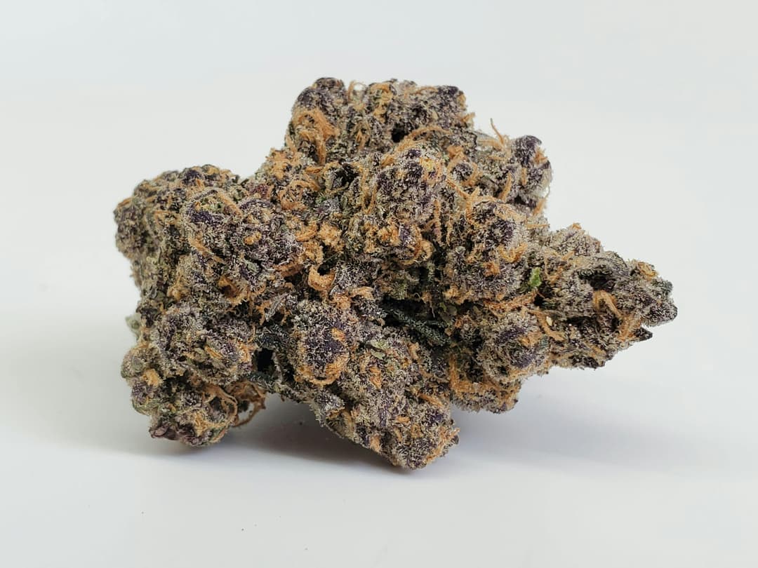 Venom OG - JAR 1/8TH