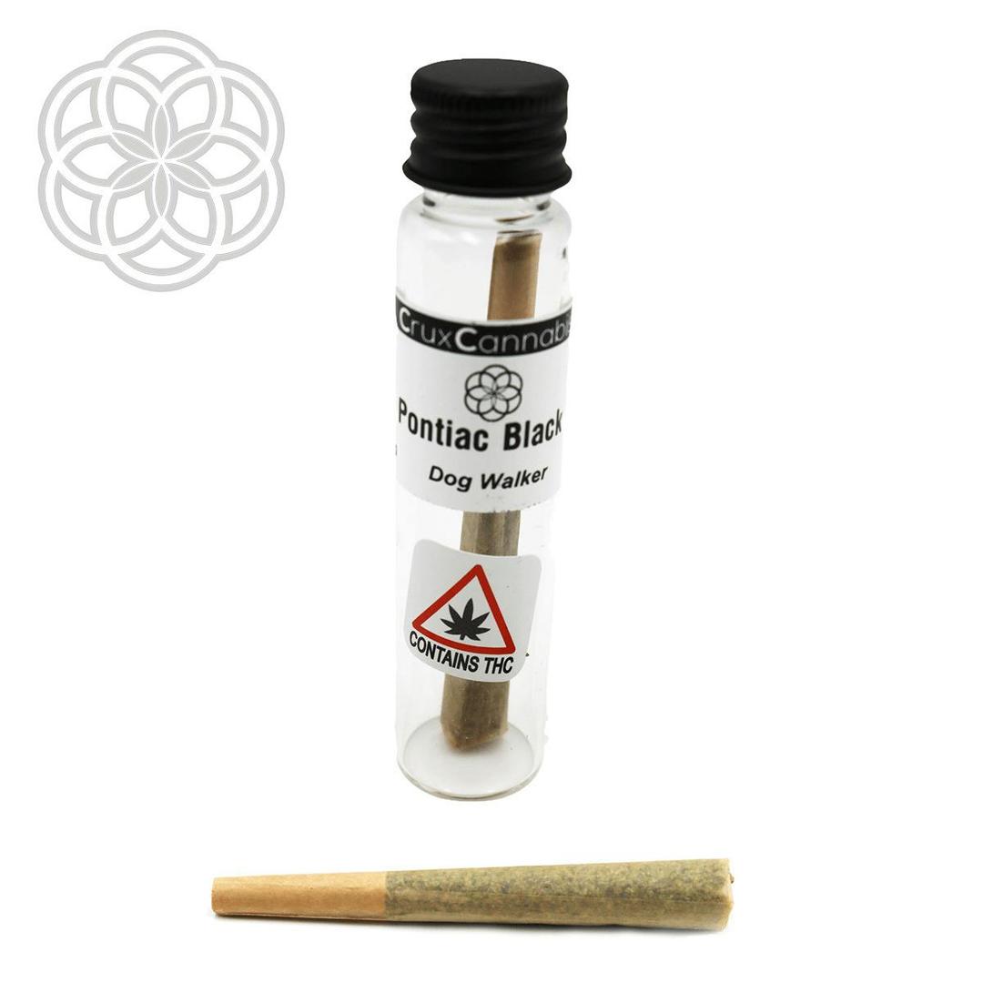 Dog Walker - Pontiac Black .75g