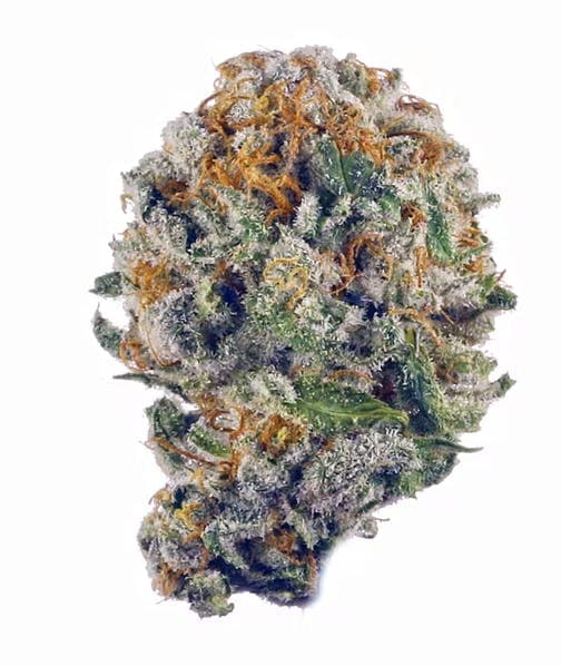 Blueberry Muffin - Hybrid - 35% THC