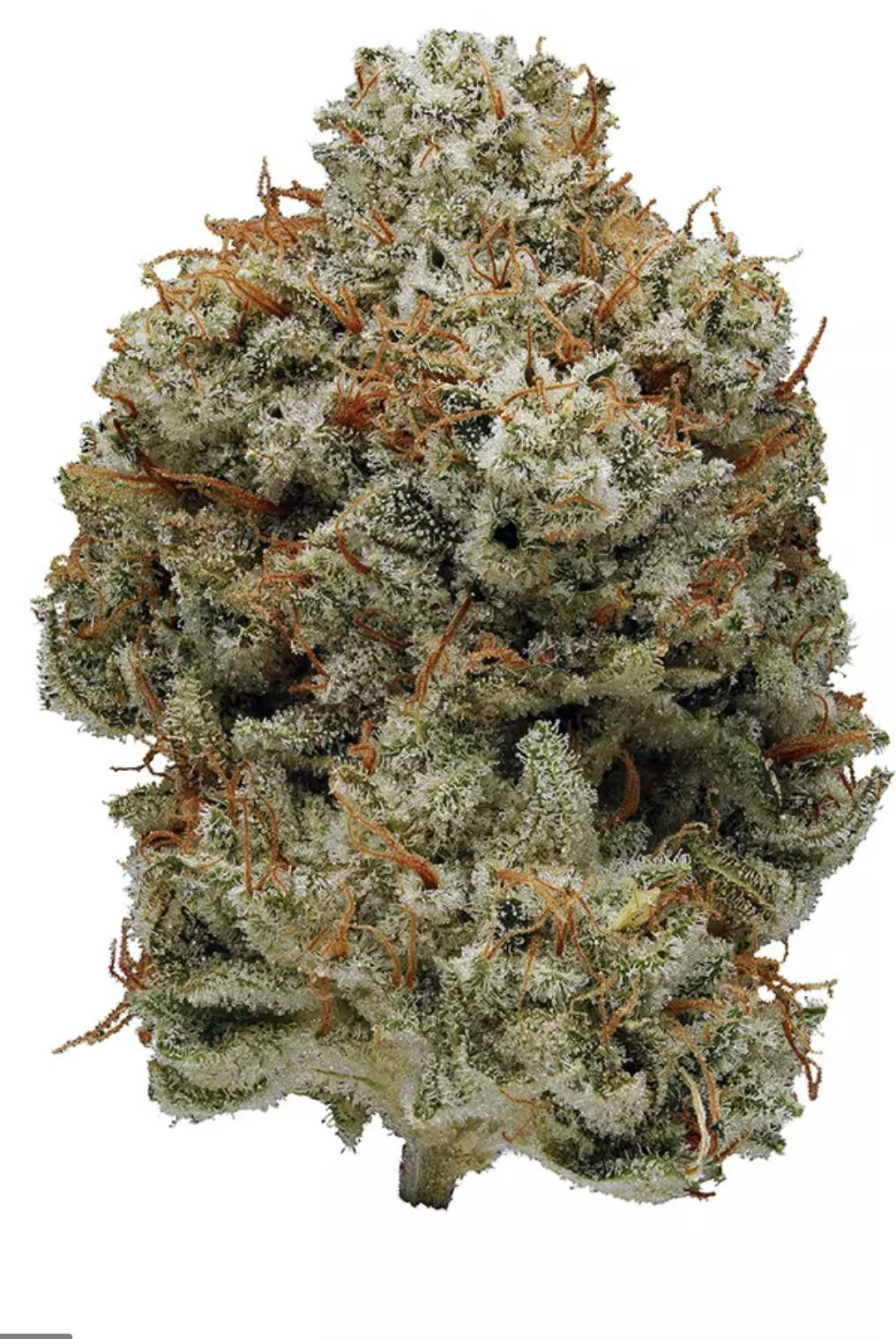 Grape GG - Hybrid - 36% THC