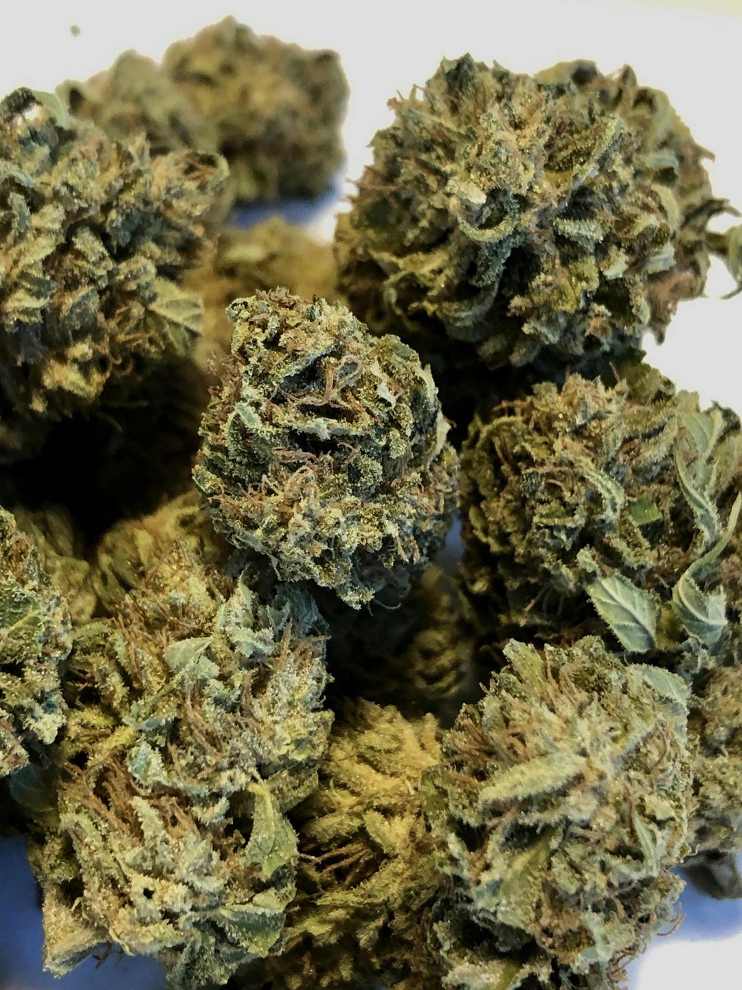 $100 Ounce of the Day - Cannalope Haze