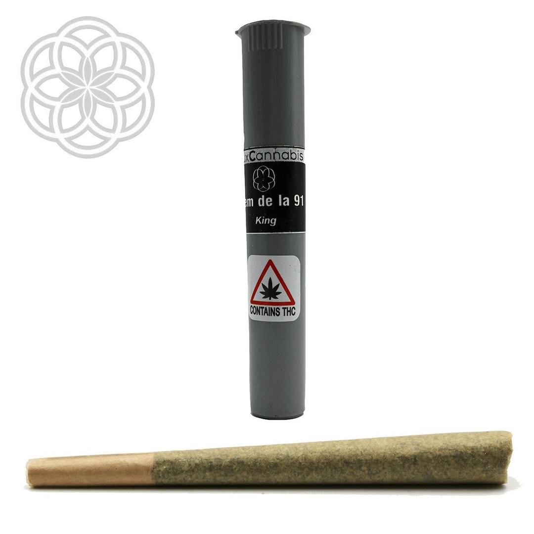 King - Chem de la 91 1.25g